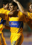 Tigres replica photo