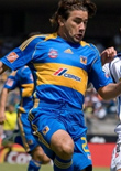 Tigres replica photo